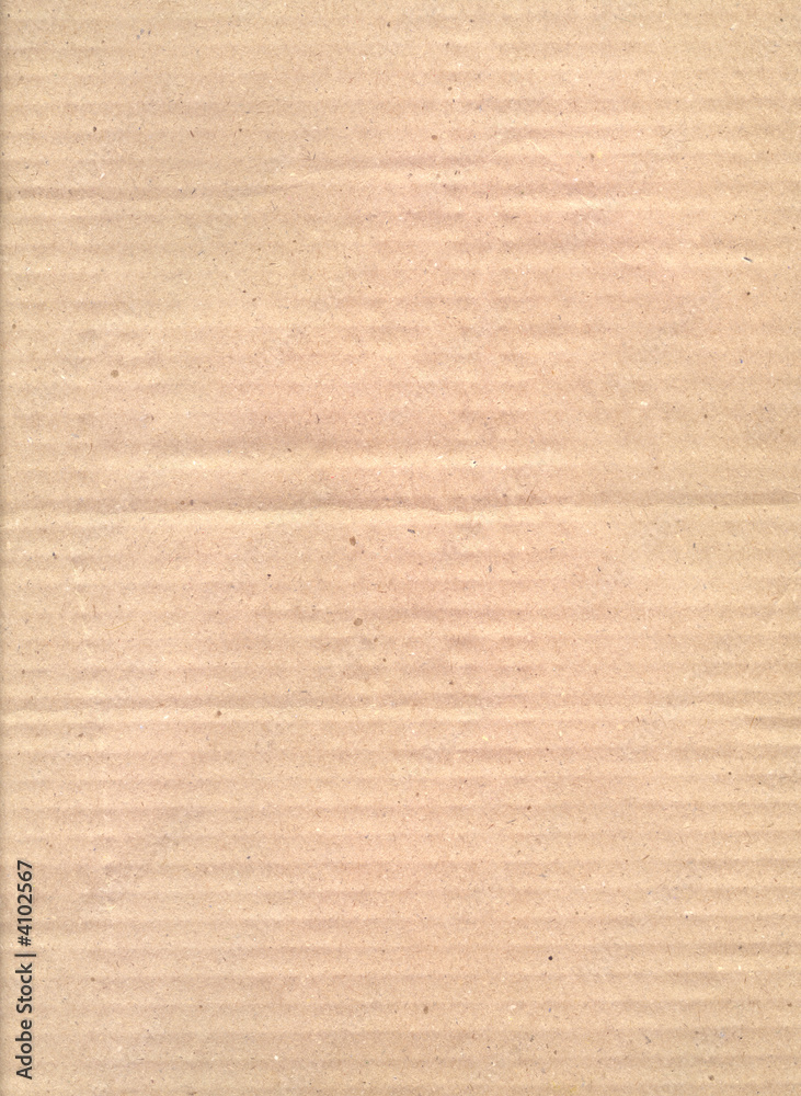 Obraz premium Cardboard