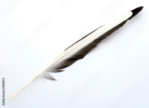 feather