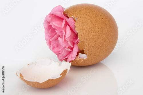 birth