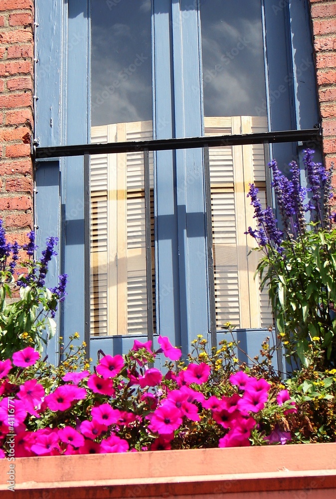 Window Box Window Box