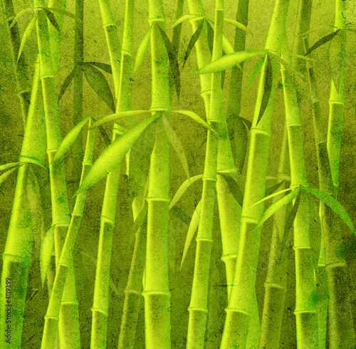 bamboo trees