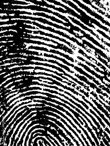 Fingerprint Crop