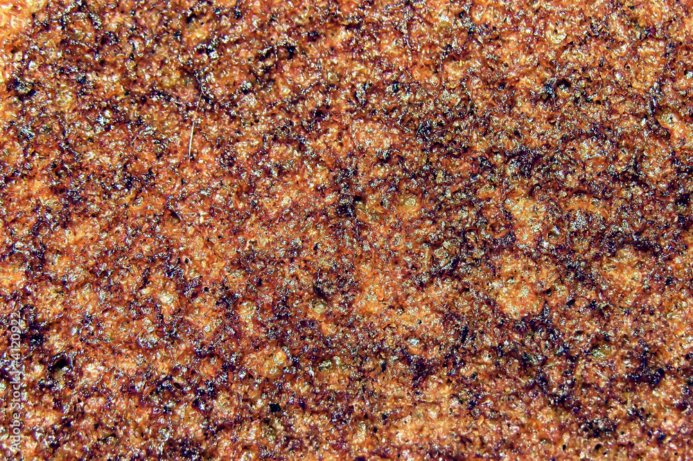 crust of brown bread crust of brown bread