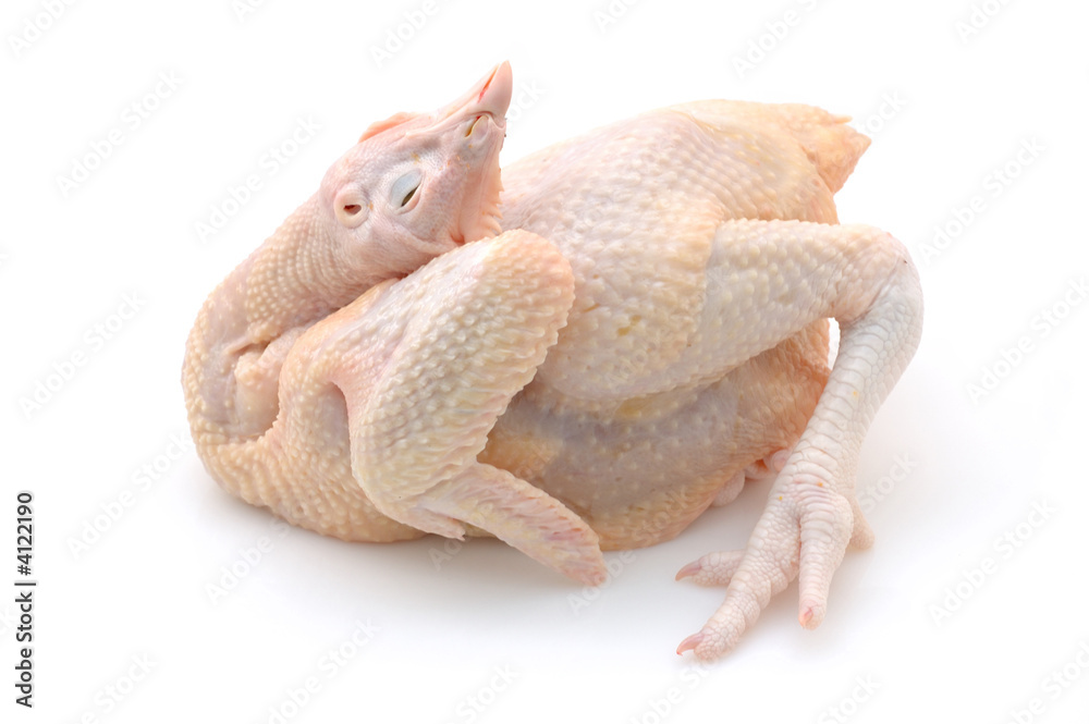 Fototapeta premium Whole raw chicken