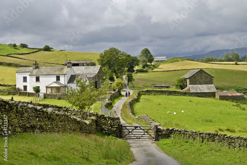 Country lane and farm