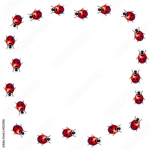 Ladybird frame