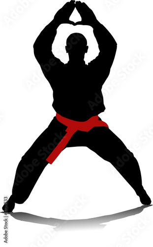 Karate guy 03