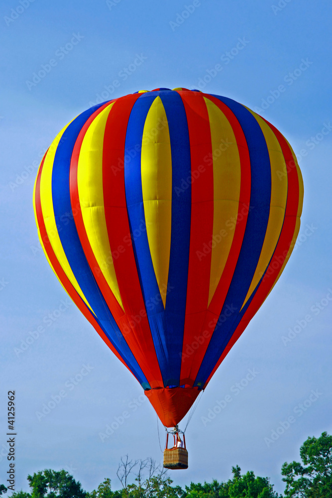 Fototapeta premium Hot Air Balloon
