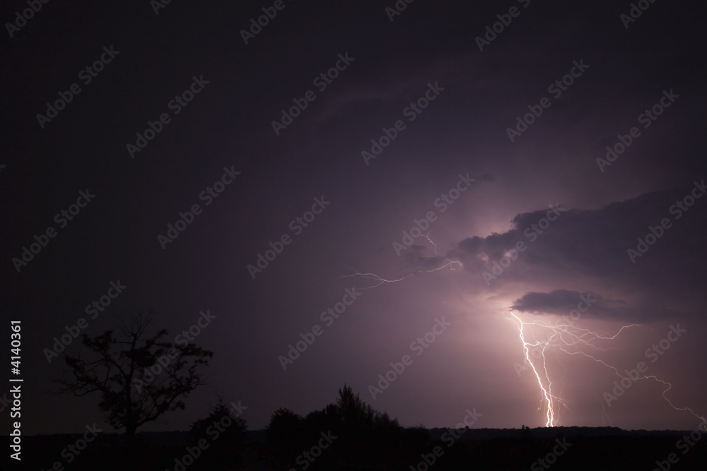 Storm with a tree