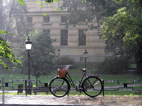 Sommerregen