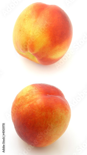 nectarine