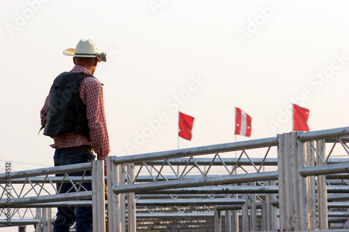 Rodeo Cowboy