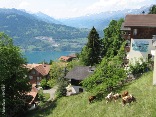 Swiss Alps Landscape