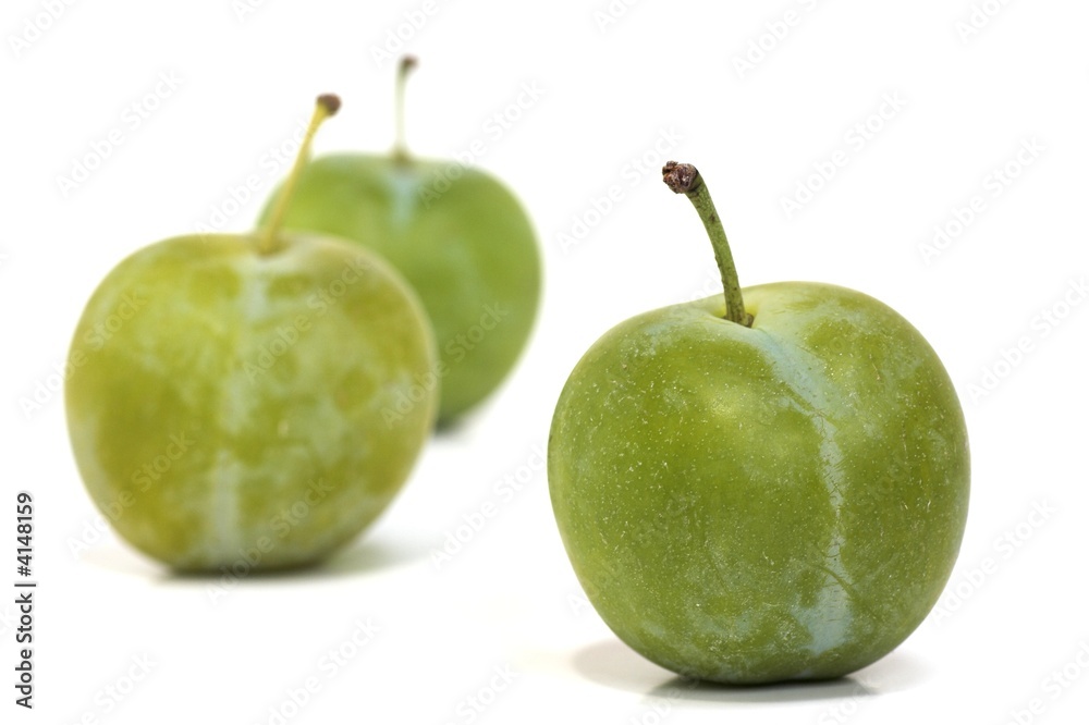 Three Ripe Greengages Three Ripe Greengages