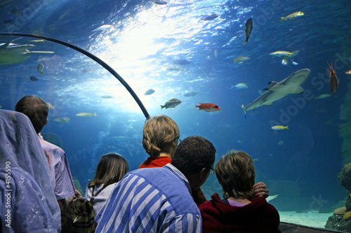 Erlebnis SEA LIFE Aquarium