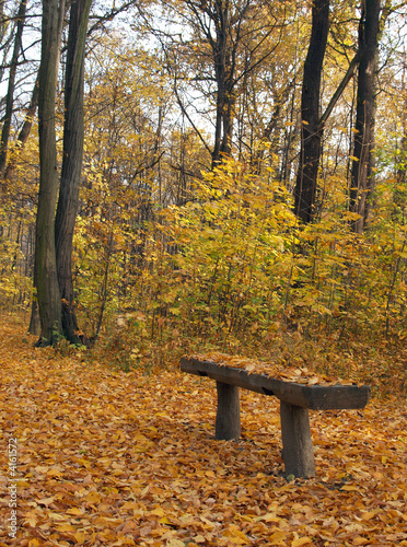 Bench in autumnal park