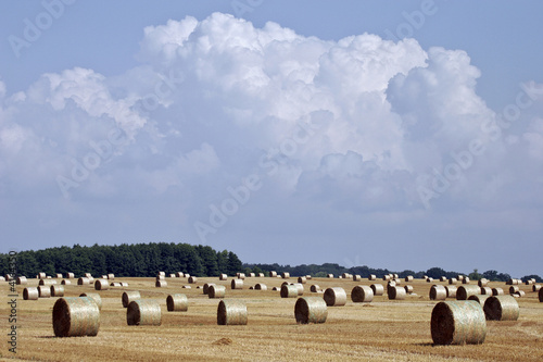 Landschaft