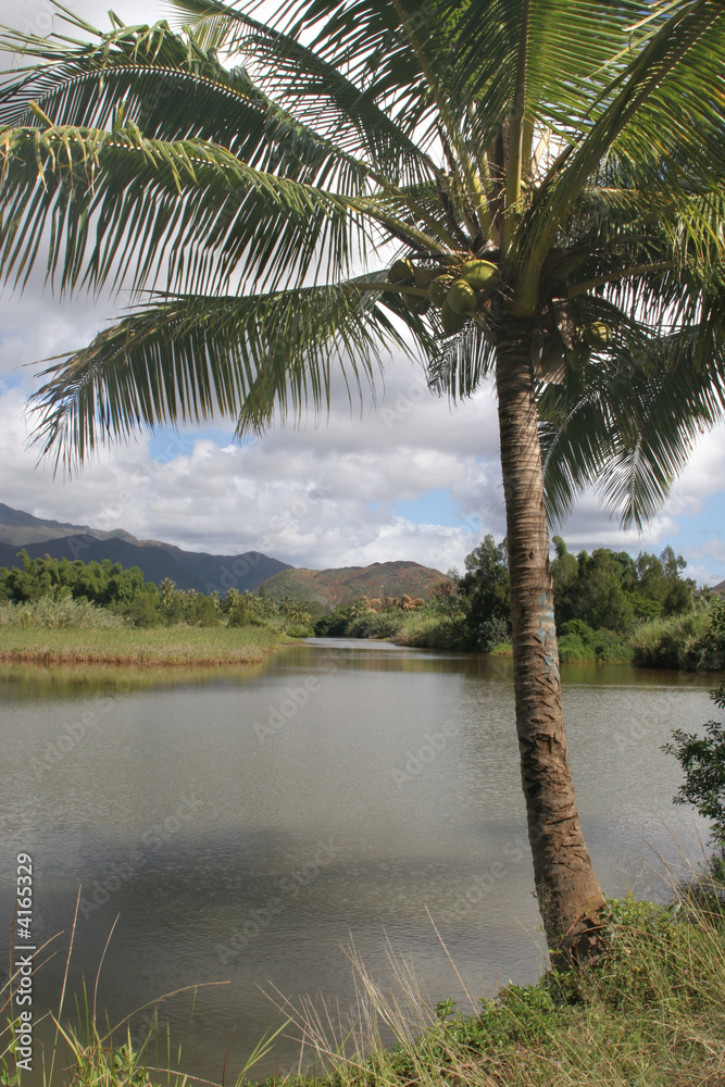 caledonian river 2