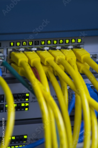 Computer network cables plugged in a hub