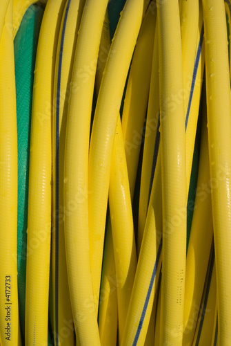 Texture giallo verde