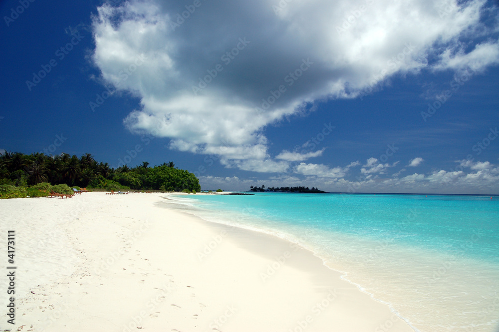 Beautiful Tropical Beach