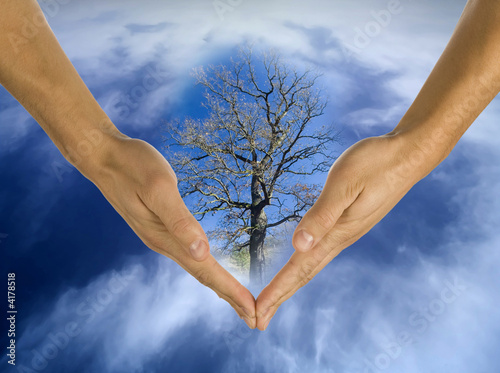 ecology, hands, responsibility, business