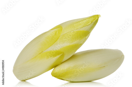 chicory