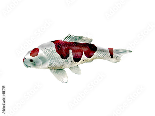 plastic fish