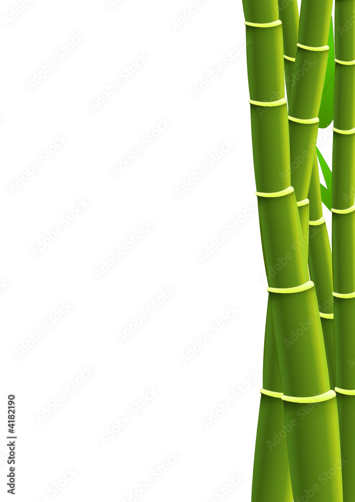Obraz premium Bambou en bordure
