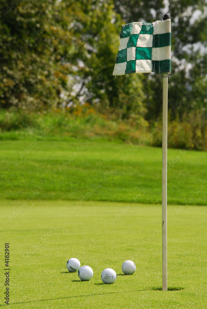 Obraz premium golf25