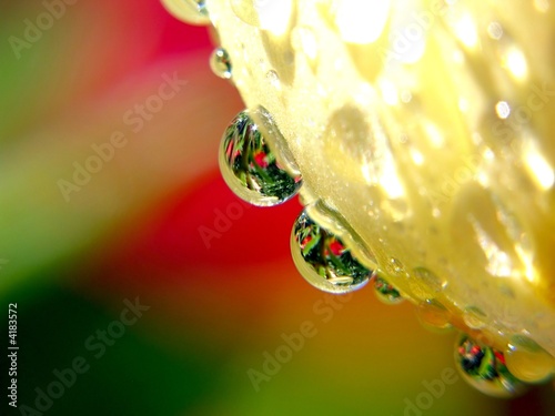 Bild auf Leinwand Similar as two drops of water.