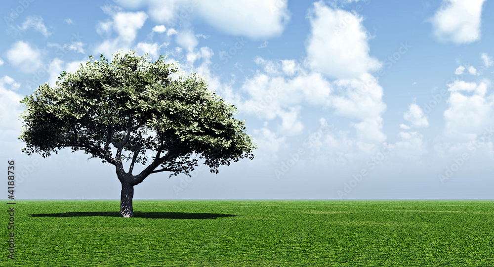 Obraz premium Green tree