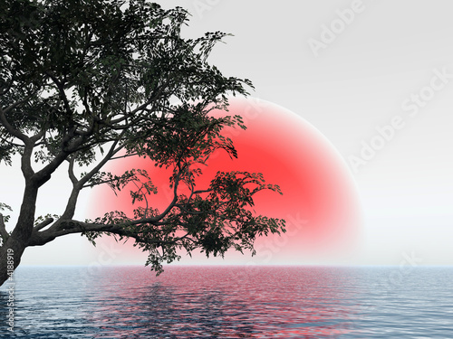 Old tree