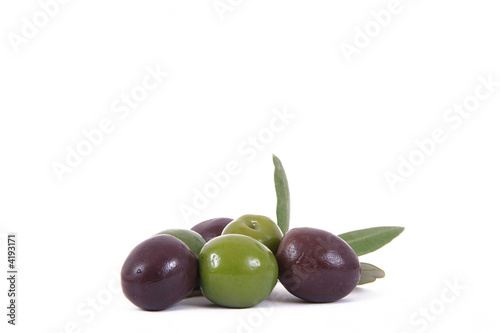 olive 43