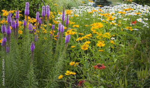 Summer Garden