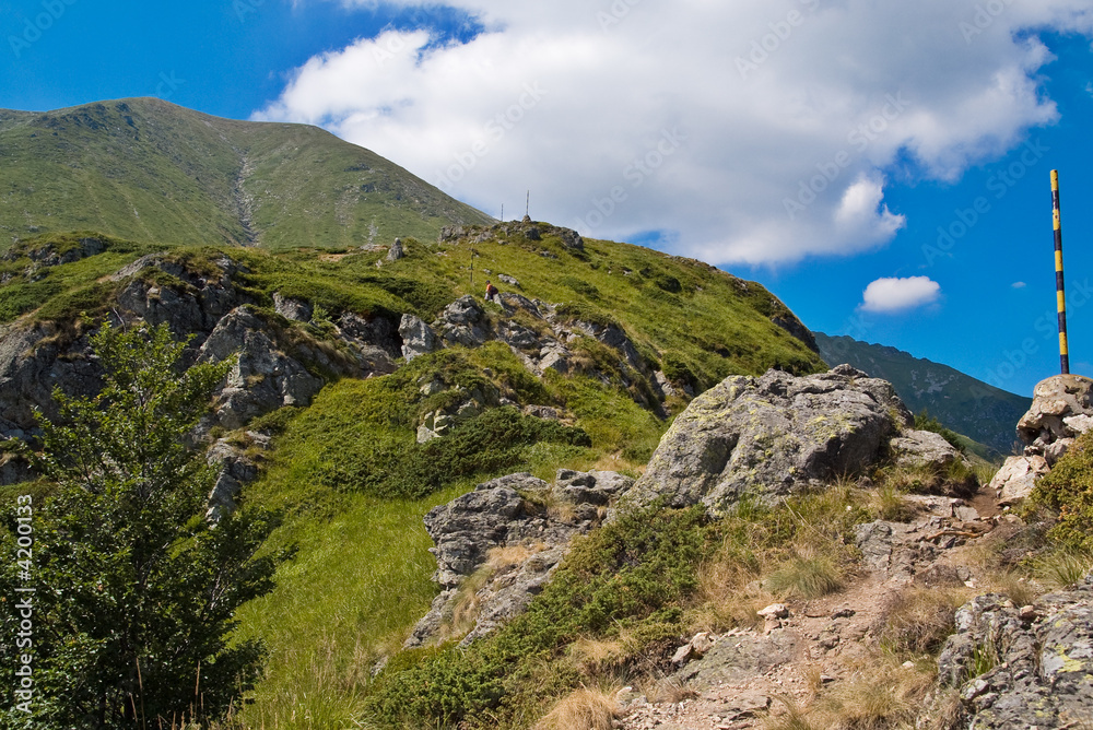 Path in Bulgarian Mountains