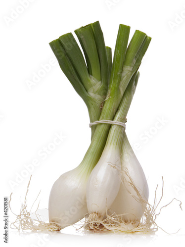 spring onion