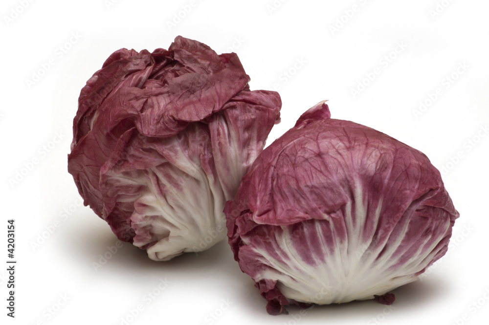 red cabbage on white background red cabbage on white background