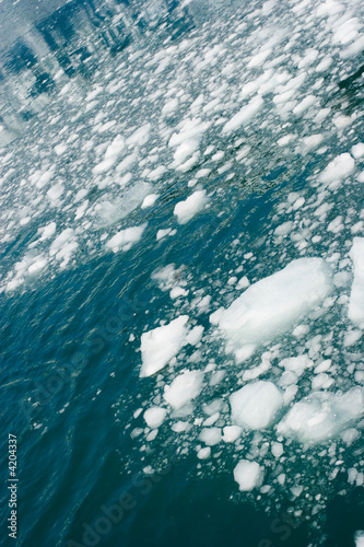 Tablou pe pânză Glacier ice in water