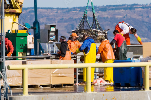 фотографія Fishermen weighing the catch