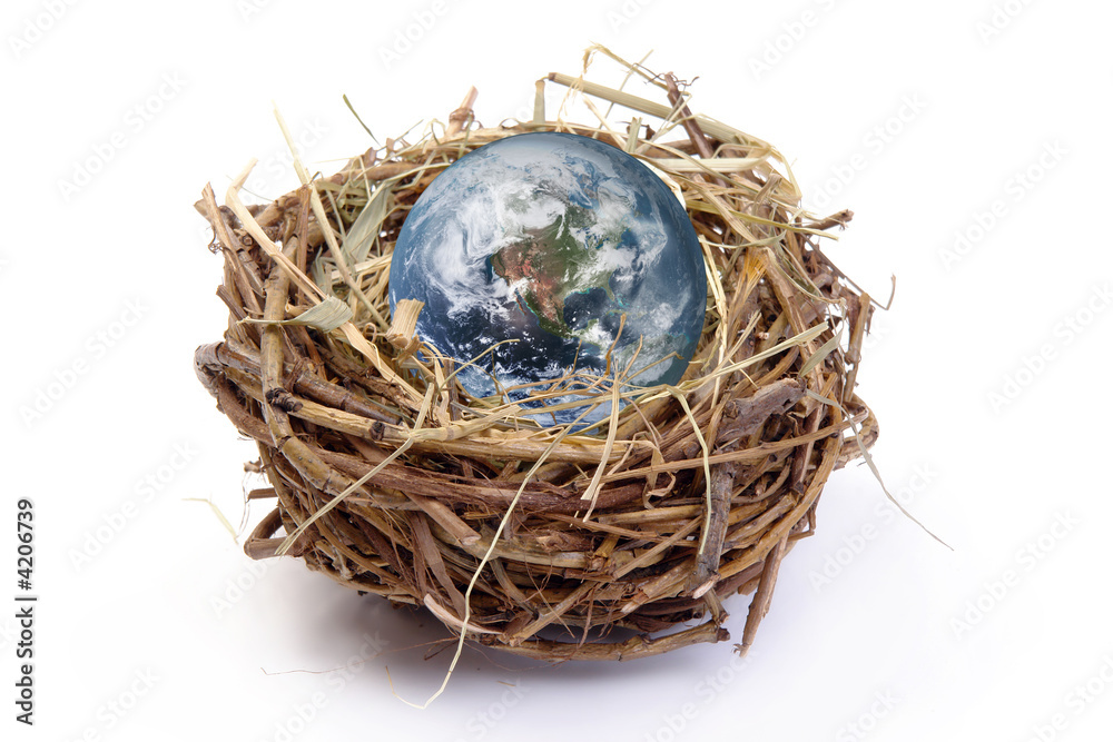 Obraz premium Nested Earth