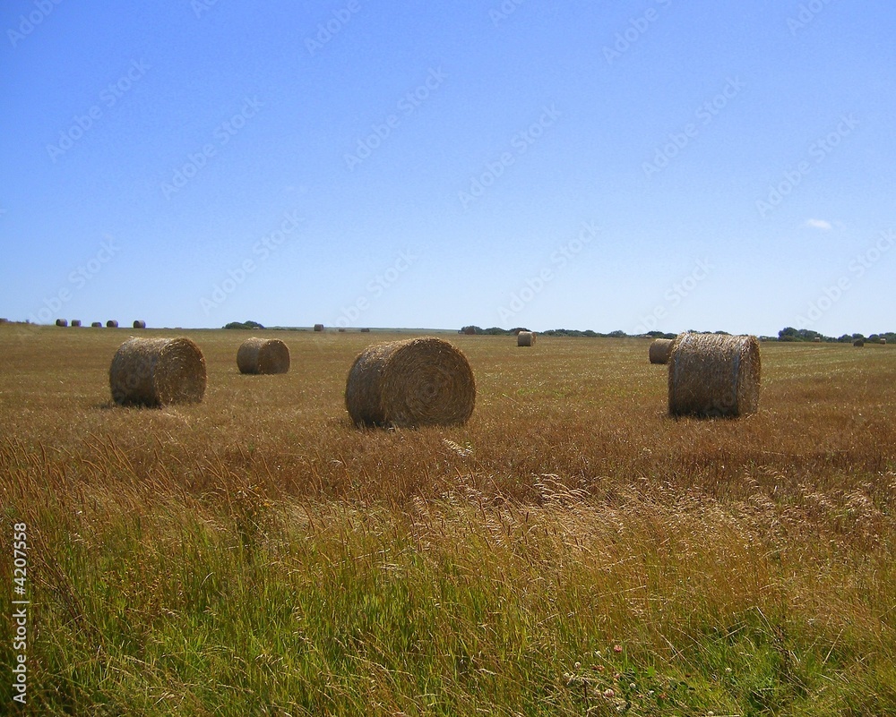 Making Hay - Four Bales in a Field