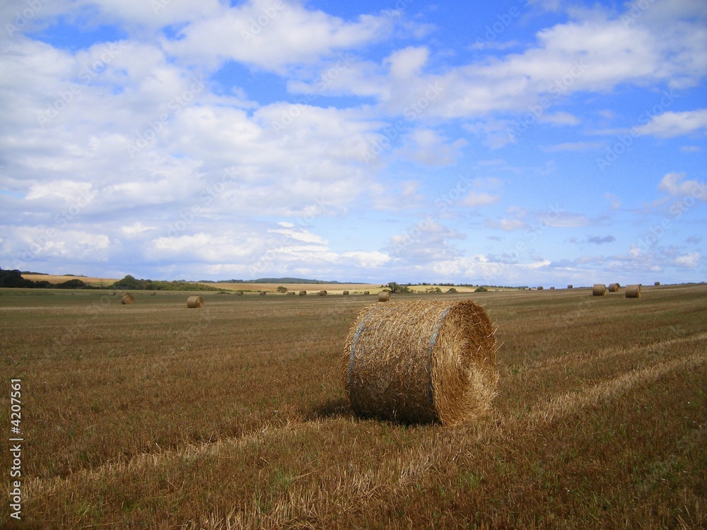 Making Hay - One Bale in the Field