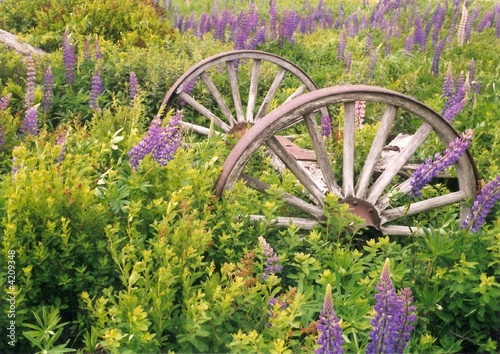 Old Wagon Wheels
