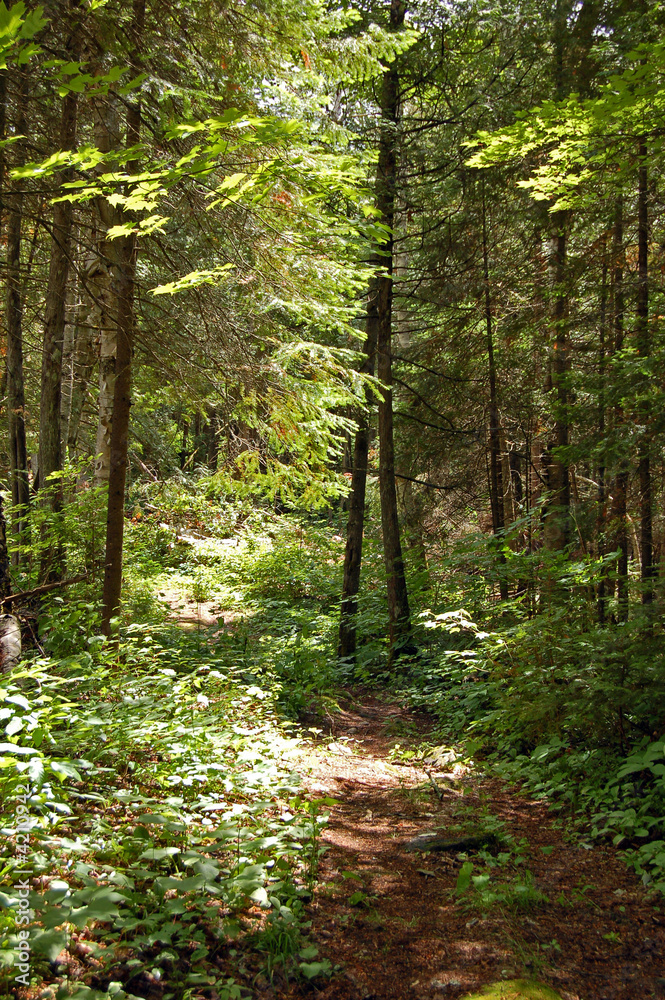 Obraz premium Portage