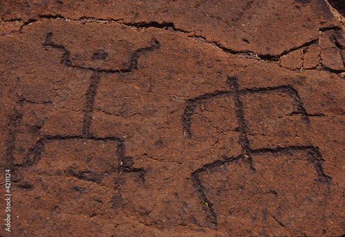 Hawaiian petroglyph etching, Big Island of Hawaii, Hawaii