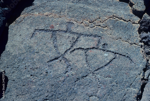 Hawaiian petroglyph etching, Big Island of Hawaii, Hawaii