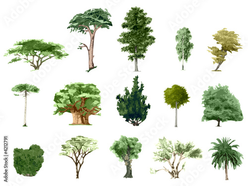 Painted color trees collection #1, isolated