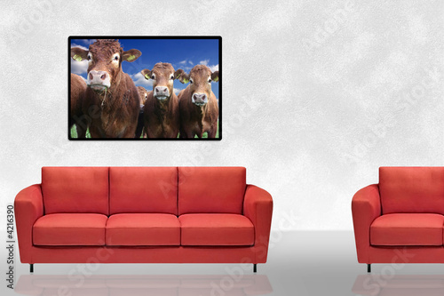 Red sofas and great art interior