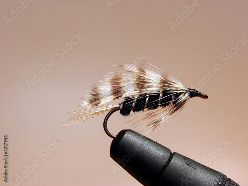 Hand Tied Fly Fishing Fly